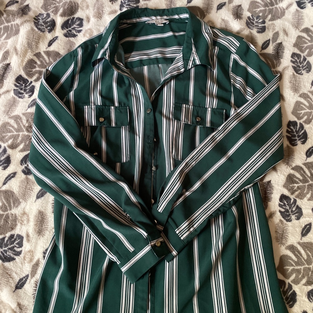Green Striped Blouse